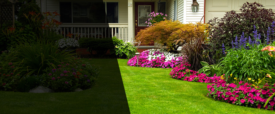 Andrews Landscapers